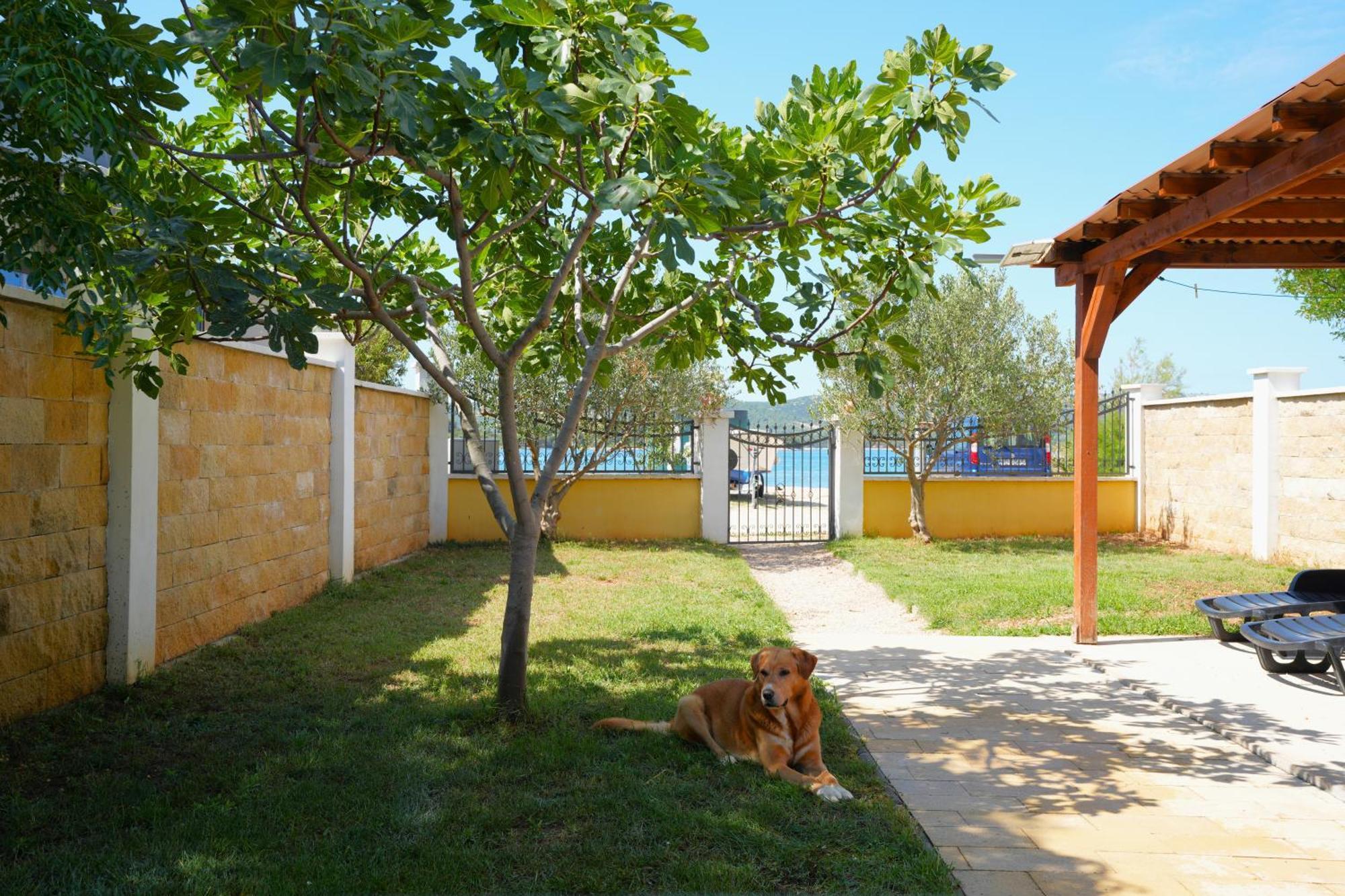Holiday Home - Beach House 'Amarella' Turanj Exterior foto
